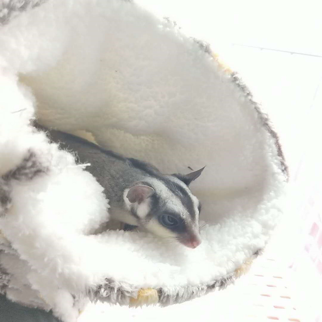 Cozy Pet Plush Warmth Tunnel